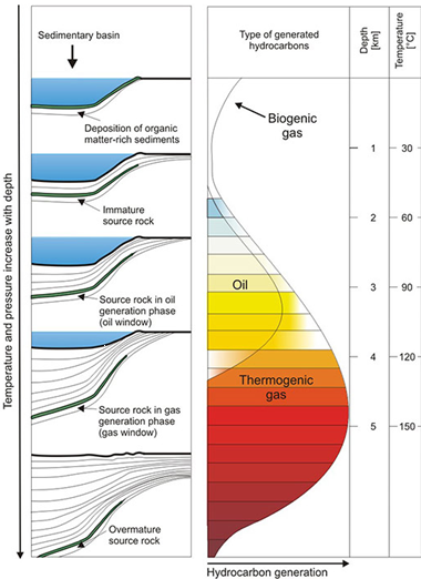 Graphic depicting how hydrocarbons are generated
